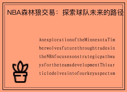 NBA森林狼交易：探索球队未来的路径